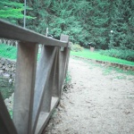 Vrelo Bosne
