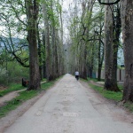 Vrelo Bosne