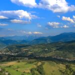 tvrdimići